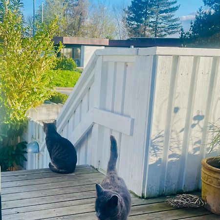 Cool Familyhome Close To The Beach W Two Cuddly Cats Espergærde 外观 照片