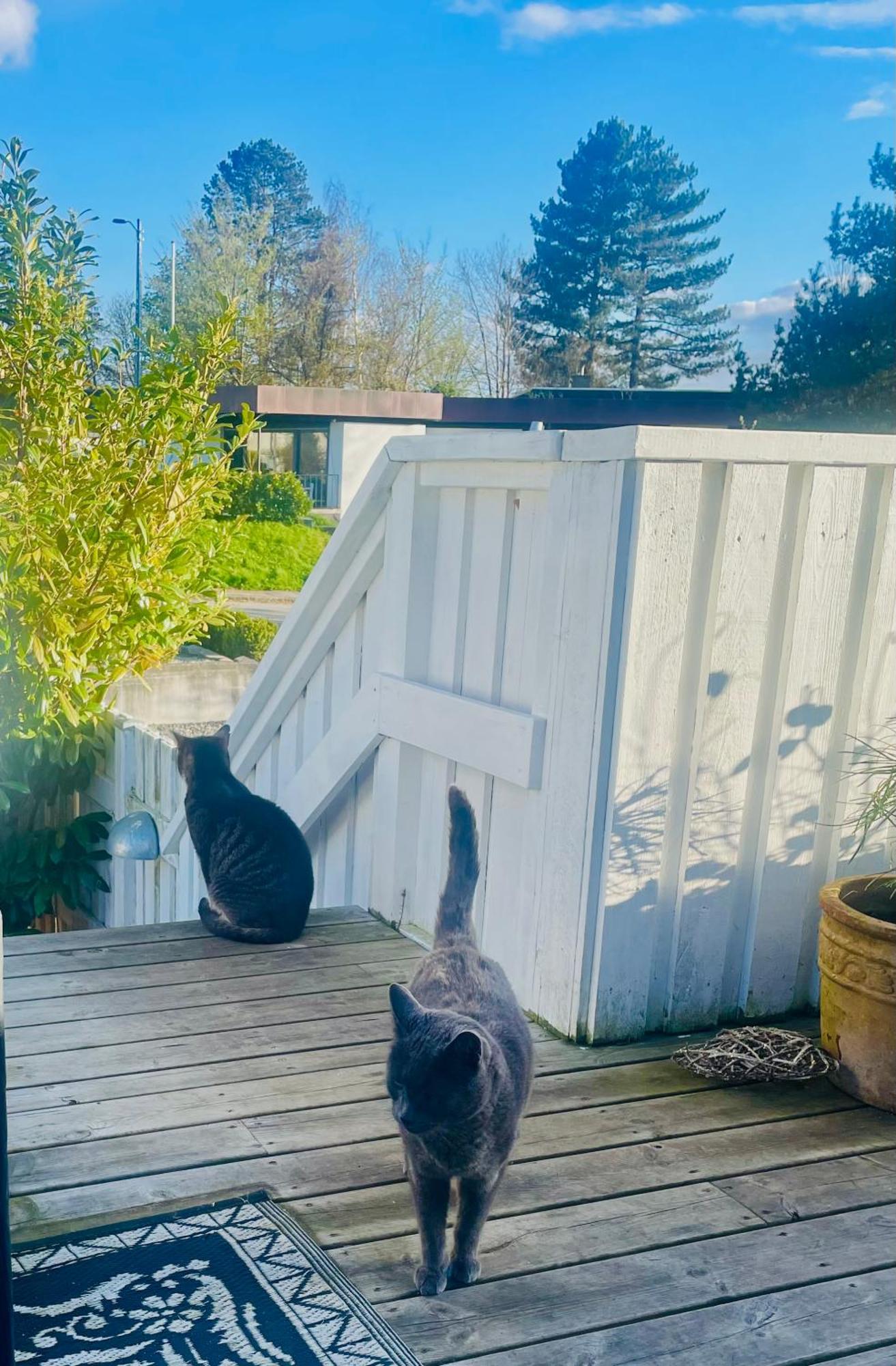 Cool Familyhome Close To The Beach W Two Cuddly Cats Espergærde 外观 照片